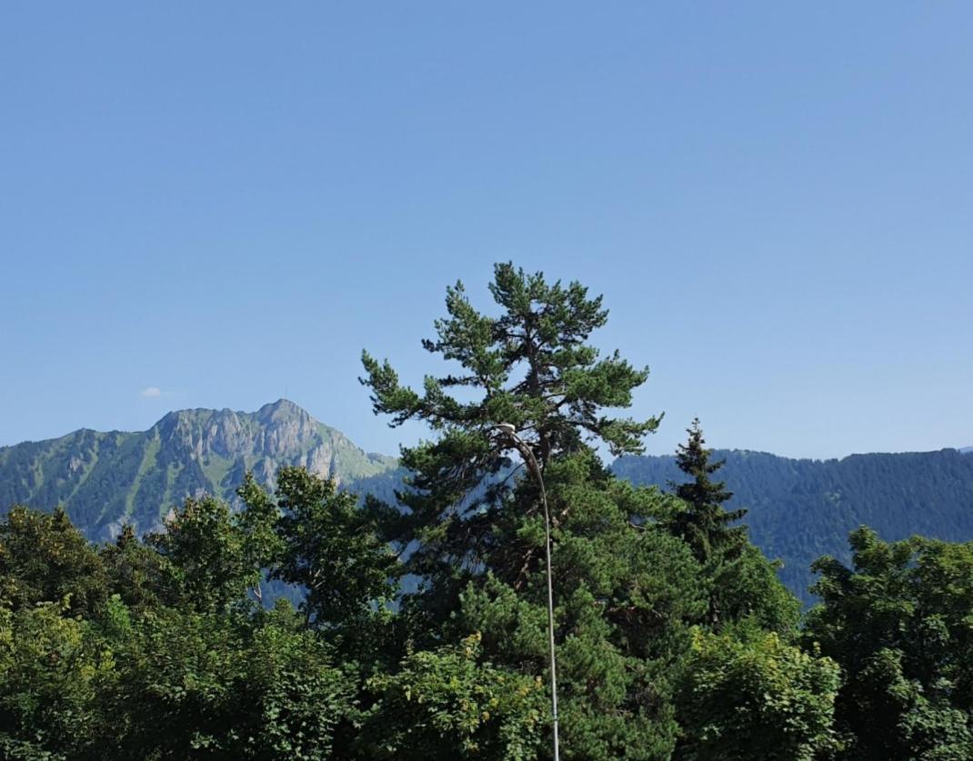 Heidi अपार्टमेंट Leysin